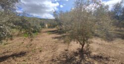 Casa Pueblo en Periana