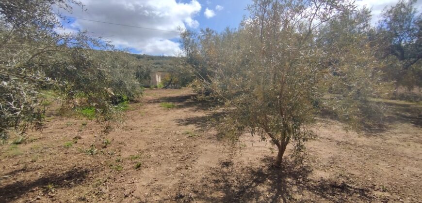 Casa Pueblo en Periana